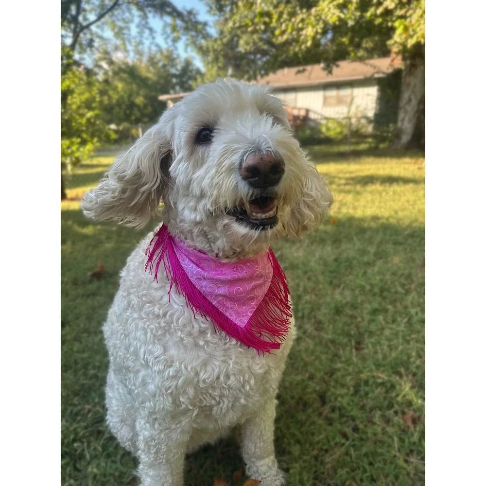 Disco Cowgirl Pink Glitter Fringe Dog Bandana Handmade Western Pet Accessory
